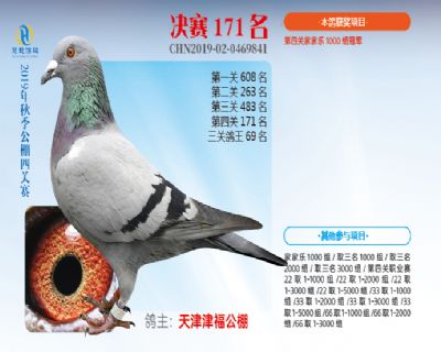 威力慧能决赛171名