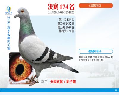 威力慧能决赛174名