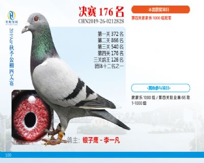 威力慧能决赛176名