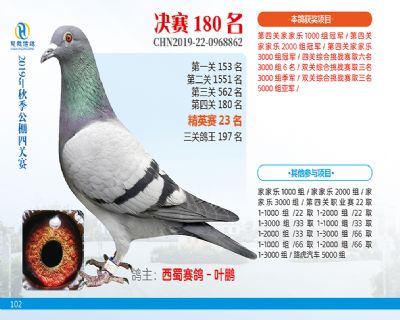 威力慧能决赛180名