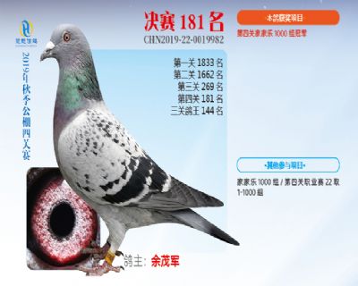 威力慧能决赛181名