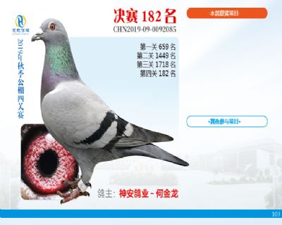 威力慧能决赛182名