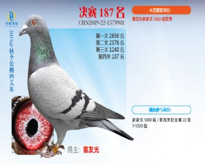 威力慧能决赛187名