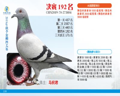 威力慧能决赛192名