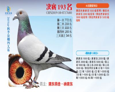 威力慧能决赛193名