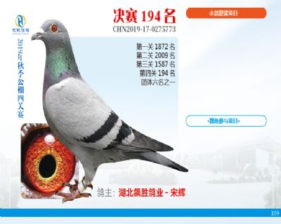 威力慧能决赛194名