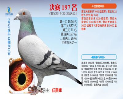 威力慧能决赛197名