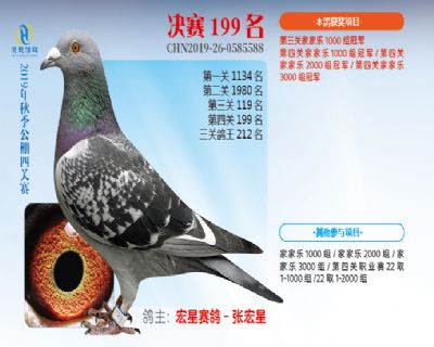 威力慧能决赛199名