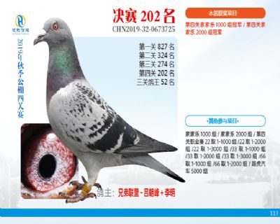 威力慧能决赛202名