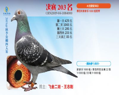 威力慧能决赛203名