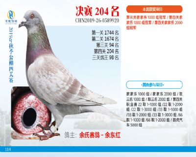 威力慧能决赛204名