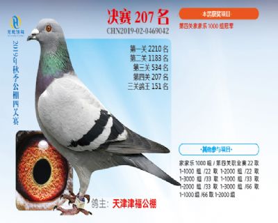 威力慧能决赛207名