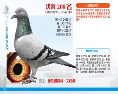 威力慧能决赛208名