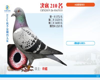 威力慧能决赛210名