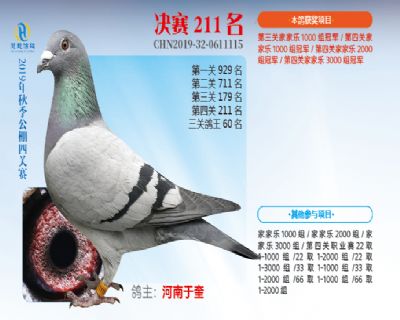 威力慧能决赛211名