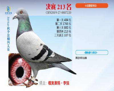 威力慧能决赛213名