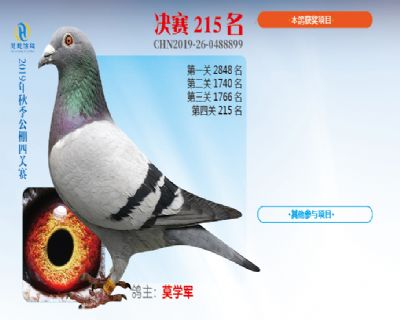 威力慧能决赛215名