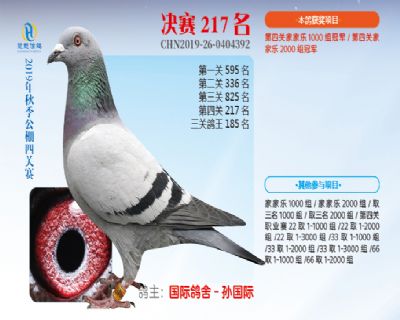 威力慧能决赛217名