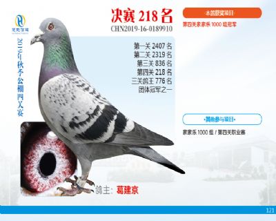 威力慧能决赛218名
