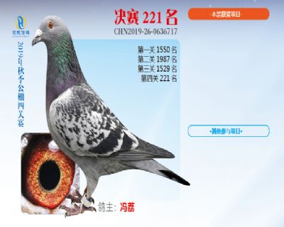 威力慧能决赛221名