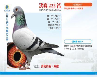威力慧能决赛222名