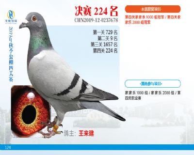 威力慧能决赛224名