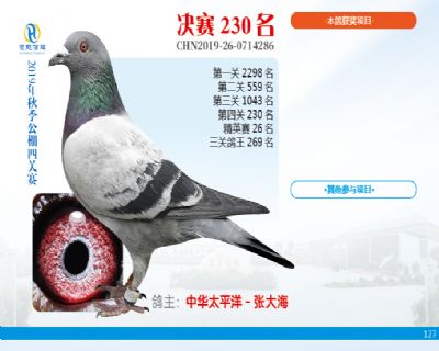 威力慧能决赛230名