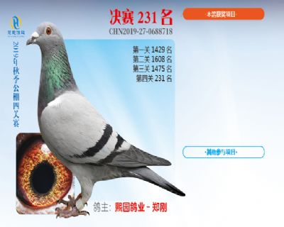 威力慧能决赛231名