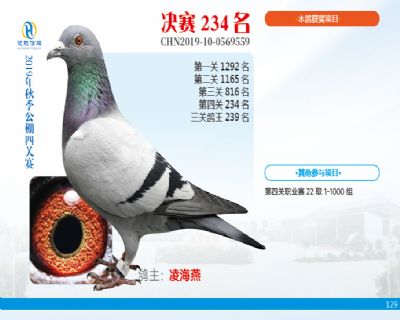 威力慧能决赛234名