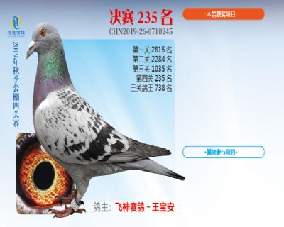 威力慧能决赛235名