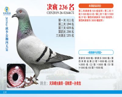 威力慧能决赛236名