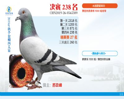 威力慧能决赛238名
