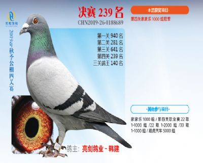 威力慧能决赛239名