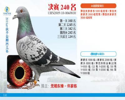 威力慧能决赛240名