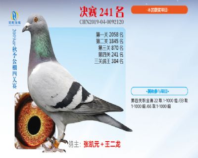 威力慧能决赛241名