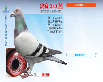 威力慧能决赛243名