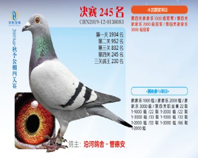 威力慧能决赛245名