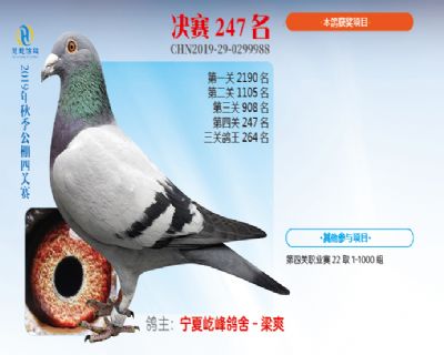 威力慧能决赛247名