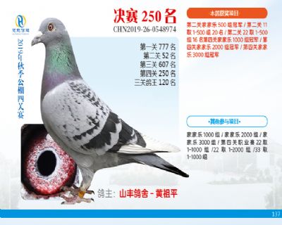 威力慧能决赛250名