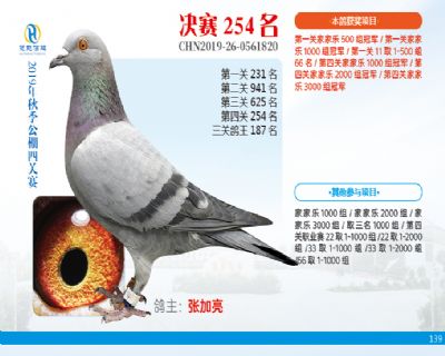 威力慧能决赛254名