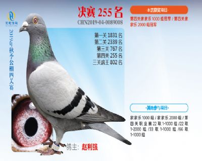 威力慧能决赛255名