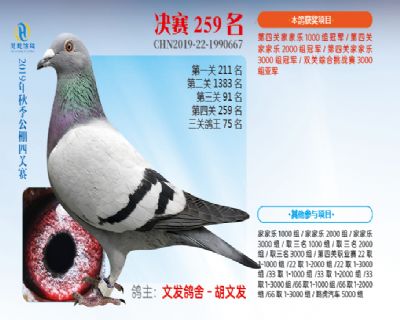 威力慧能决赛259名