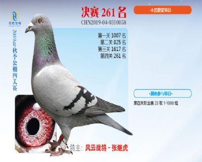 威力慧能决赛261名