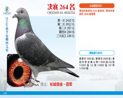 威力慧能决赛264名
