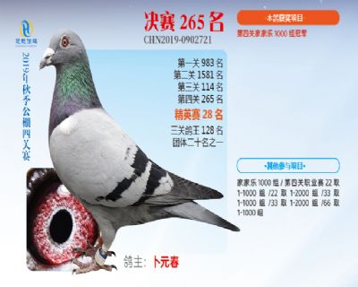 威力慧能决赛265名