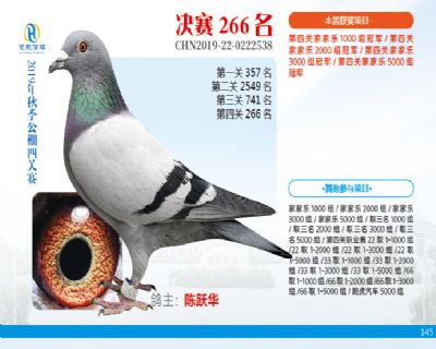 威力慧能决赛266名