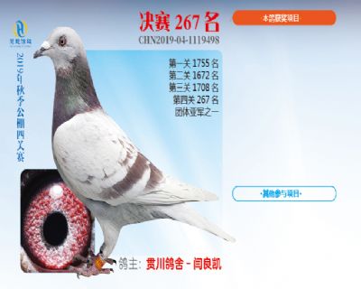 威力慧能决赛267名