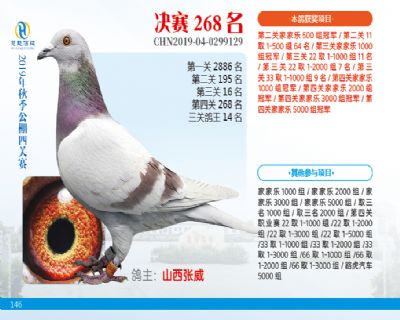 威力慧能决赛268名