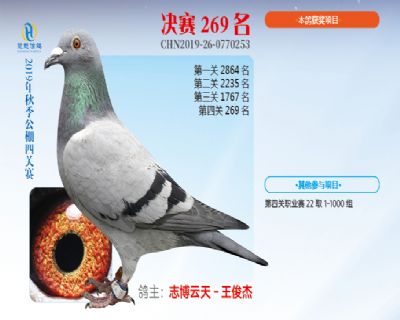 威力慧能决赛269名