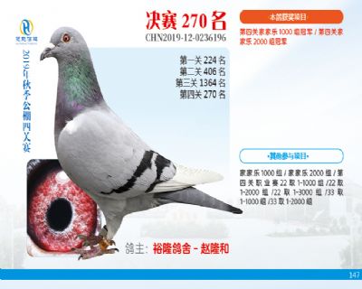 威力慧能决赛270名